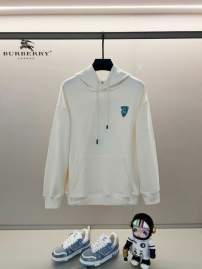 Picture of Burberry Hoodies _SKUBurberryXS-L24cr261894